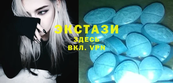 дживик Верхний Тагил