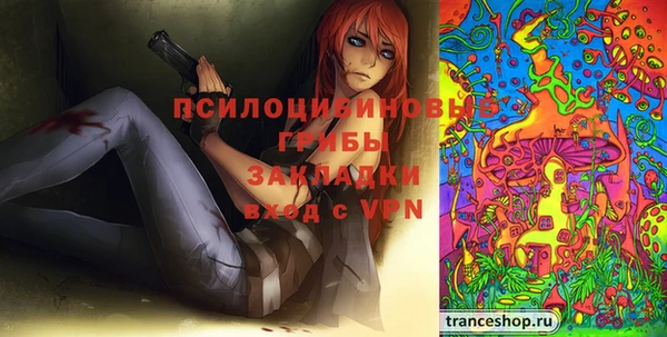 прущие крисы Верея
