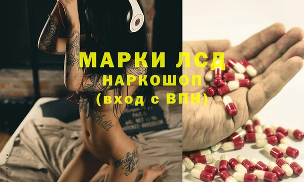 дживик Верхний Тагил