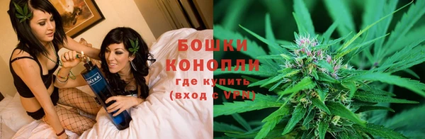 прущие крисы Верея
