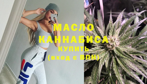 дживик Верхний Тагил